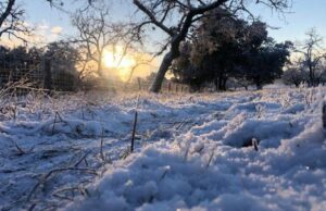 Ola polar en Córdoba: se esperan temperaturas bajo cero y posibles nevadas en las sierras