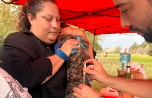 Más de 150 mascotas vacunadas contra la rabia en Villa Nueva