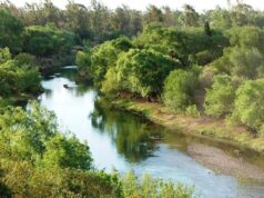 Avistaje de aves y limpieza colectiva en la Reserva Natural de Villa Nueva