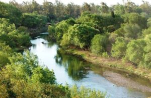 Avistaje de aves y limpieza colectiva en la Reserva Natural de Villa Nueva